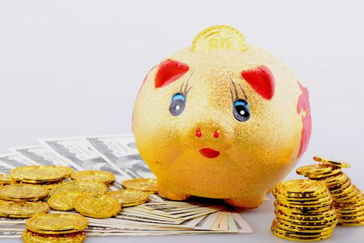 Piggy bank with gold coins and dollar banknotes