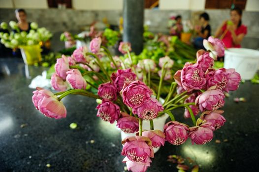 bunch of lotuses in Temple, Thailand