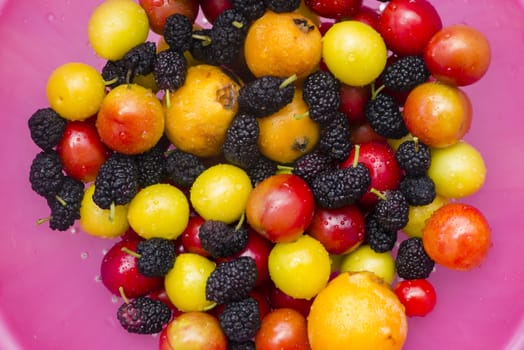 Collection of colorful, fresh fruit, berries and cherries