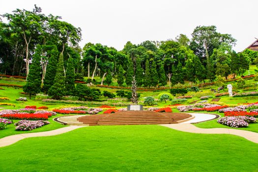 scene of colorful flower and green garden at Mae Fah Luang garden,Chiangrai,Thailand