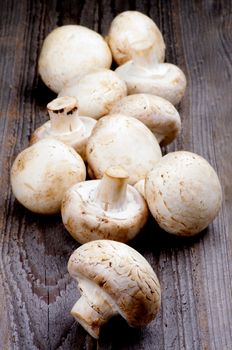Arrangement of Big Raw Freshly Picked Champignons on Rustic Wooden background