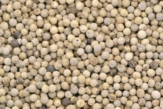Close-up of white pepper to use as background