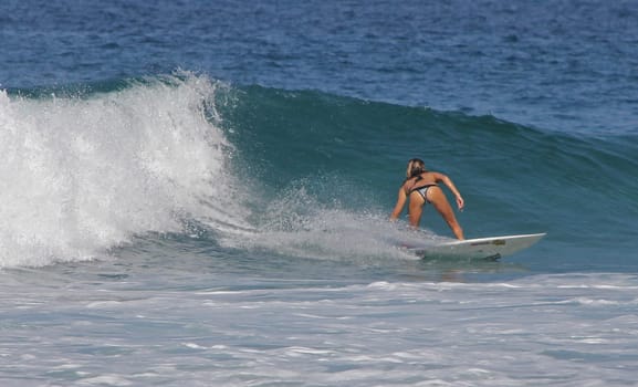 A young lady surfing in Puerto Escondido, Mexico
27 Mar 2013
No model release
Editorial only