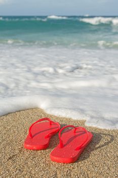 Summer concept of flip flops on a tropical beach.