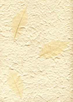 Background with decorative fabric sheet vat paper and three leaves on it