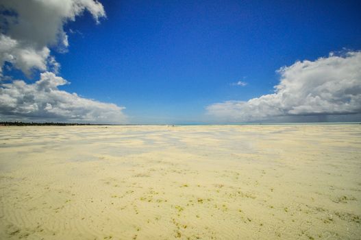 Zanzibar beach and coral rocks bule green ozean Tanzania