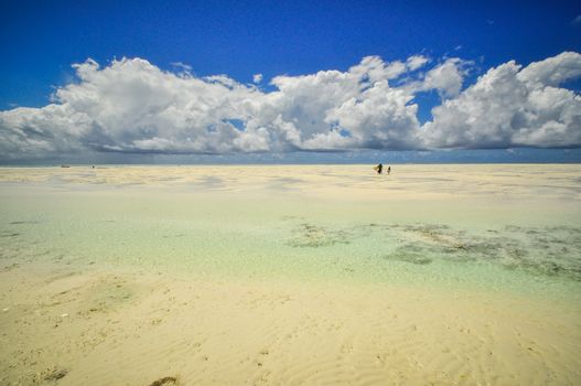 Zanzibar beach and coral rocks bule green ozean Tanzania