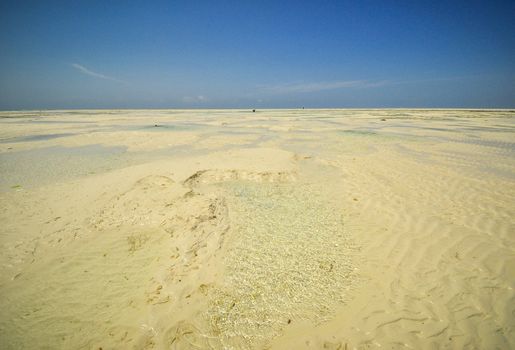 Zanzibar beach and coral rocks bule green ozean Tanzania