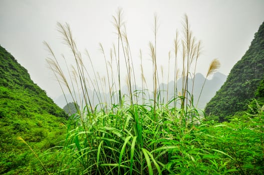 Beautiful Li river side Karst mountain landscape in Yangshuo Guilin, China