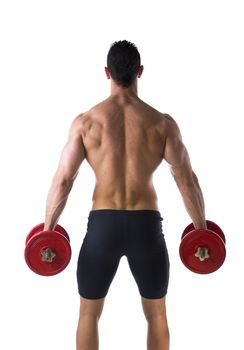 Back of shirtless muscular young man holding dumbbells, isolated on white