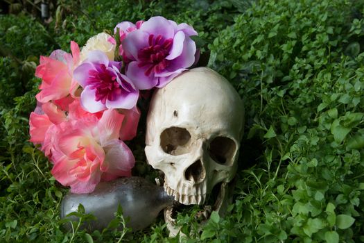 the scarry skull in the cemetery with old bottle and cigarette