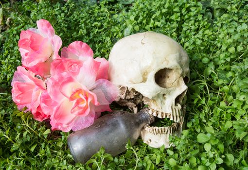 the scarry skull in the cemetery with old bottle and cigarette