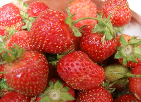 Much ripe berries strawberries.Ripe red berry strawberries