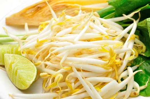 Mung beans or bean sprouts on white plate with lemon or Lime
