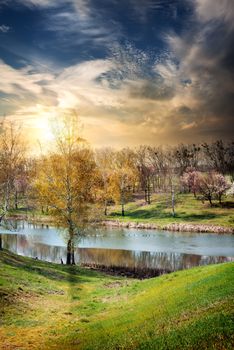 Trees by the river at sunrise in autumn