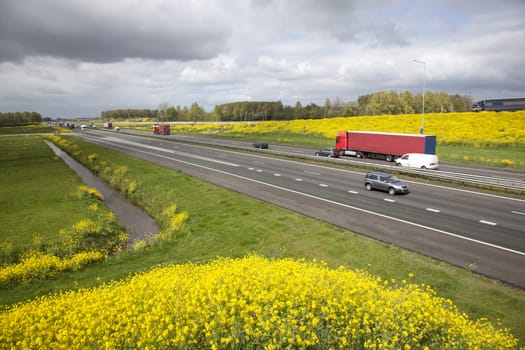 motorway A15 in the Netherlands with rapeseed in spring