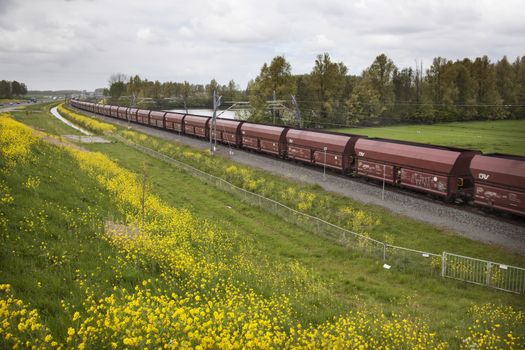 long freight train in the Netherlands on the track of the Betuwelijn