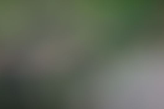 Defocused abstract texture background for your design
