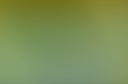 Defocused abstract texture background for your design