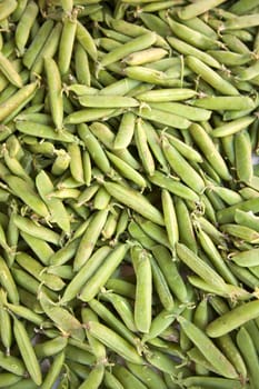 an abundace of green peas in pod