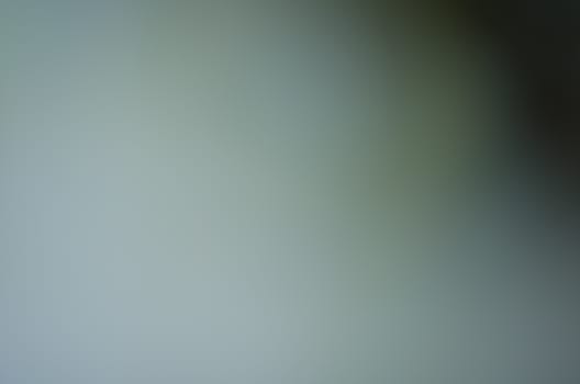 Defocused abstract texture background for your design