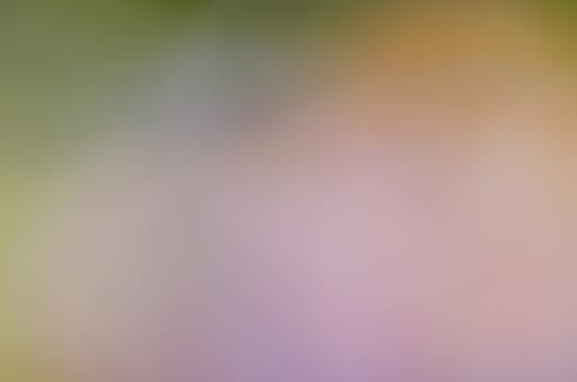 Defocused abstract texture background for your design