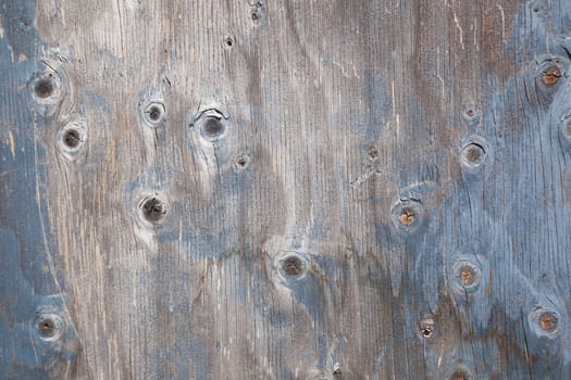 grey wooden board with knots and remnants of blue paint