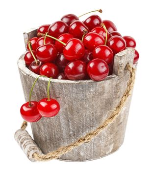 Fresh cherries with water drops in a wood bucket