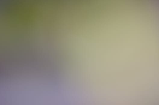 Defocused abstract texture background for your design