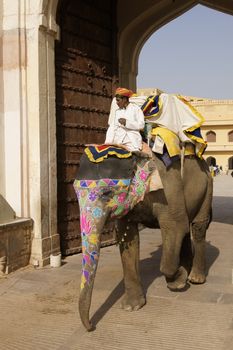 Decorated elephant transporting tourists to Amber Fort near Jaipur, Rajasthan, India.