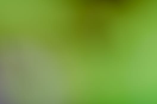 Defocused abstract texture background for your design