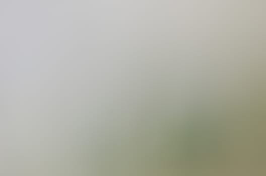 Defocused abstract texture background for your design