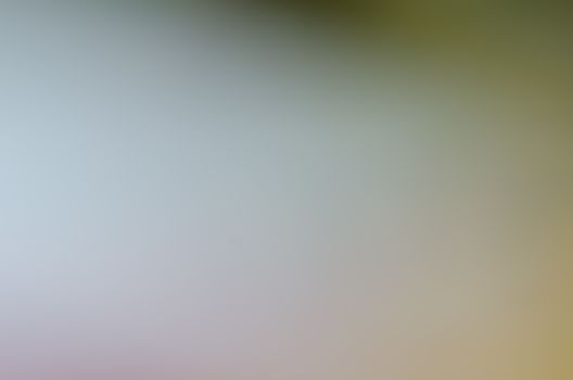 Defocused abstract texture background for your design