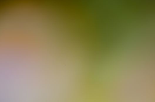 Defocused abstract texture background for your design