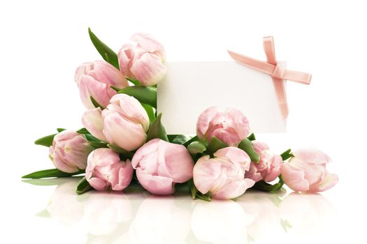 beautiful tulips with with blank for text on a white background. happy mothers day, romantic still life, fresh flowers