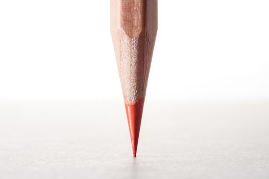 close up of a orange pencil head