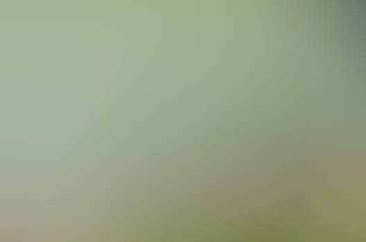 Defocused abstract texture background for your design