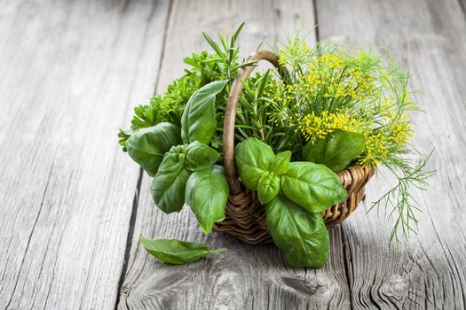Basket of freshly picked herbs including basil, rosemary, dill and parsley.  on wooden background