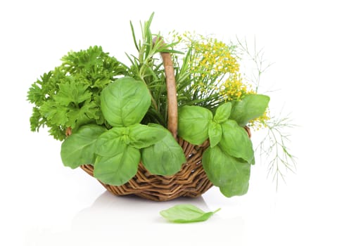 Wicker basket with fresh herbs - basil, rosemary, dill, parsley. on white background