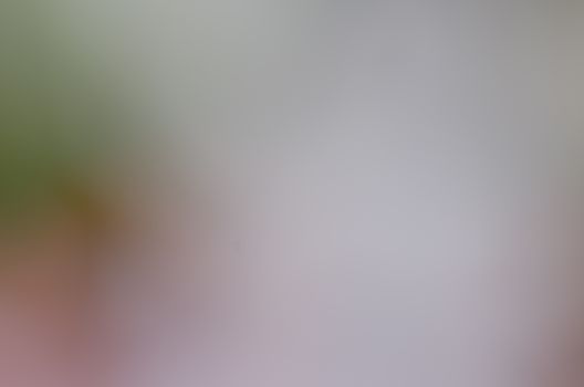 Defocused abstract texture background for your design