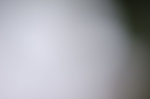 Defocused abstract texture background for your design