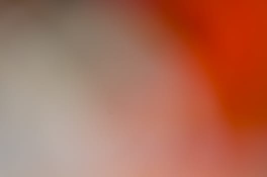 Defocused abstract texture background for your design