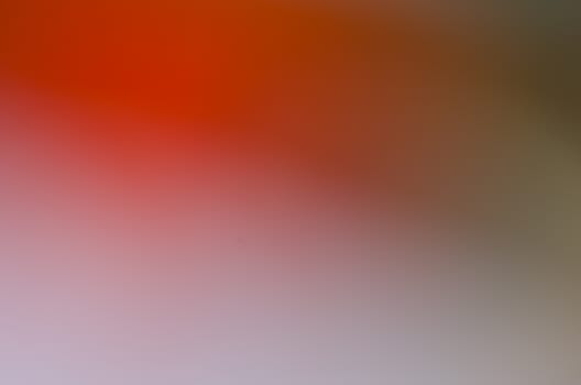 Defocused abstract texture background for your design