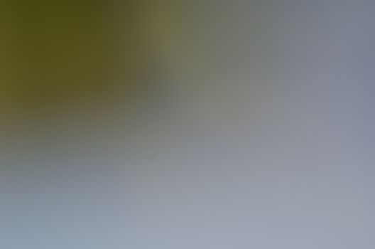 Defocused abstract texture background for your design