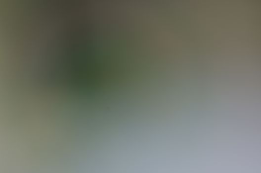 Defocused abstract texture background for your design