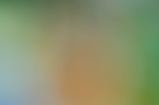 Defocused abstract texture background for your design