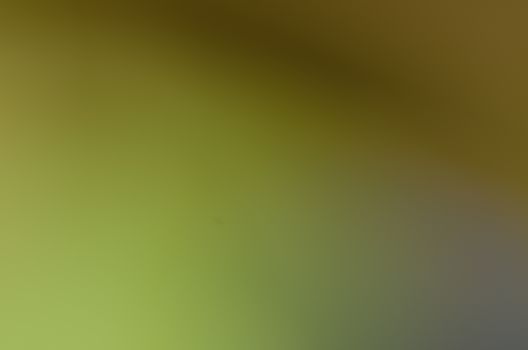 Defocused abstract texture background for your design