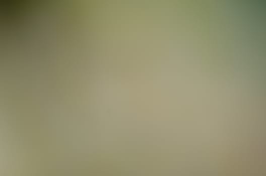 Defocused abstract texture background for your design
