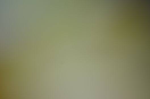 Defocused abstract texture background for your design