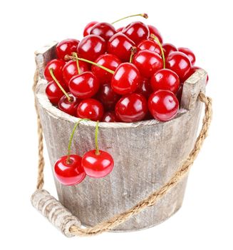 Fresh cherries with water drops in a wood bucket